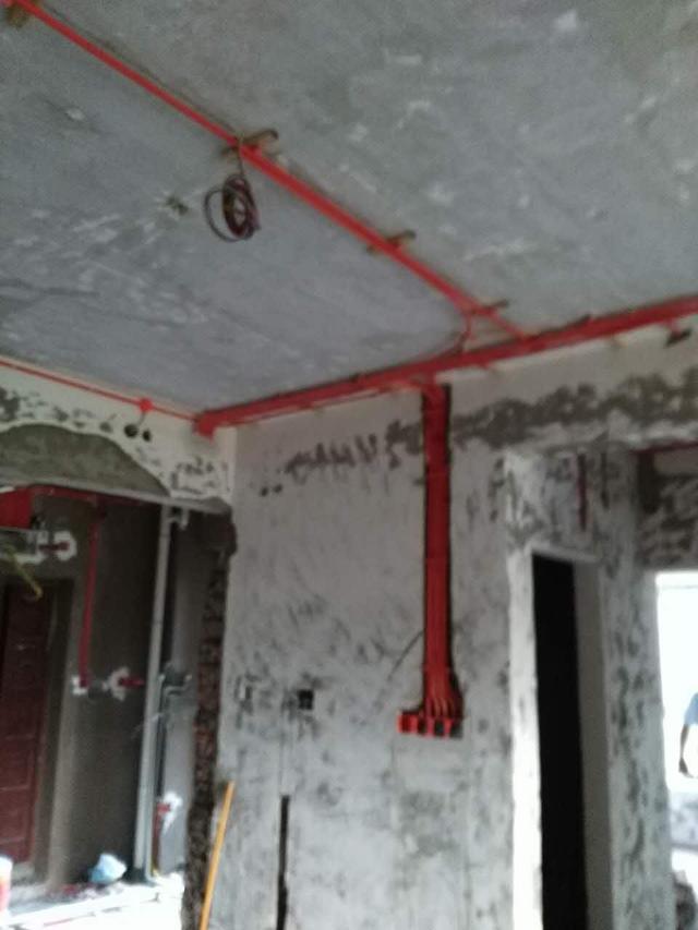 1587374505152297.jpg 5.jpg